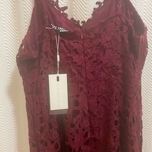 Endless Rose from Express Burgundy large derby dress never worn with tags on